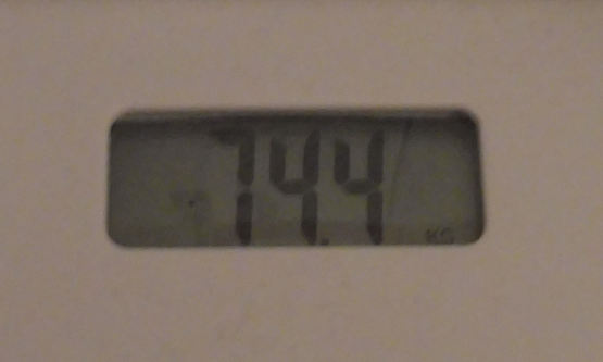 Weight Week 12.PNG